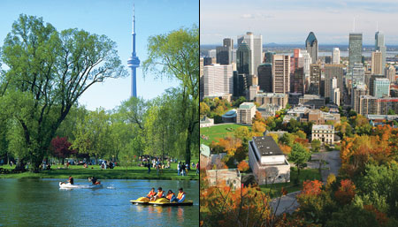 Montreal hay Toronto, lựa chọn phù hợp cho du học sinh Canada