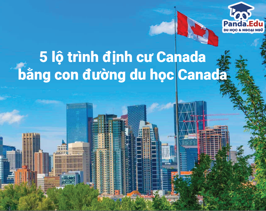 5 lộ trình định cư Canada bằng con đường du học Canada
