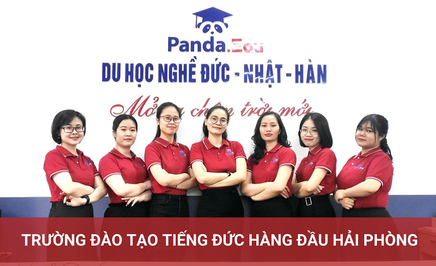 Du học Panda - Đơn vị tư vấn du học Hải Phòng uy tín chuyên nghiệp